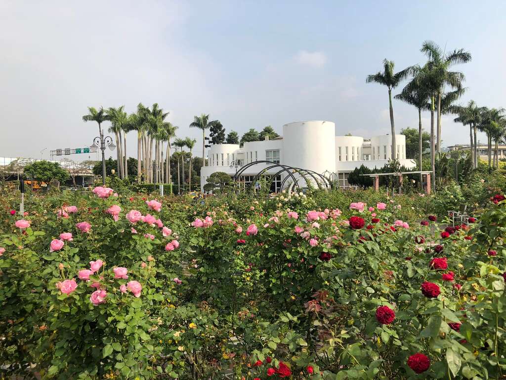 花海下的小白宮。