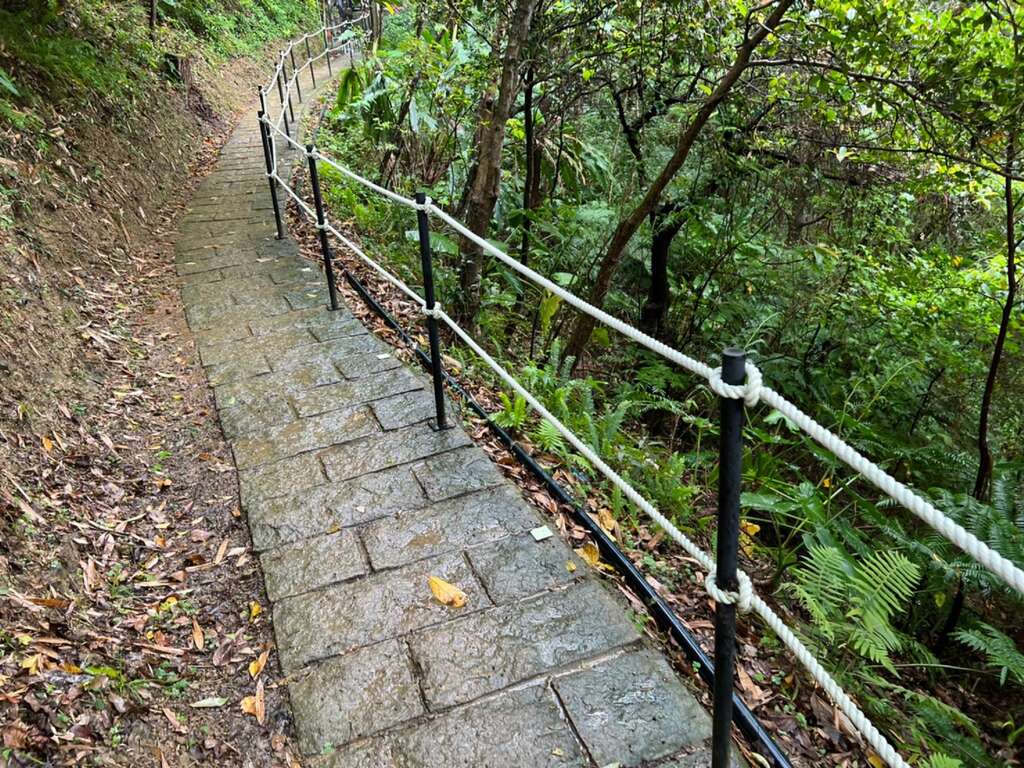 ホタルを迎えにいっしょに虎山へ