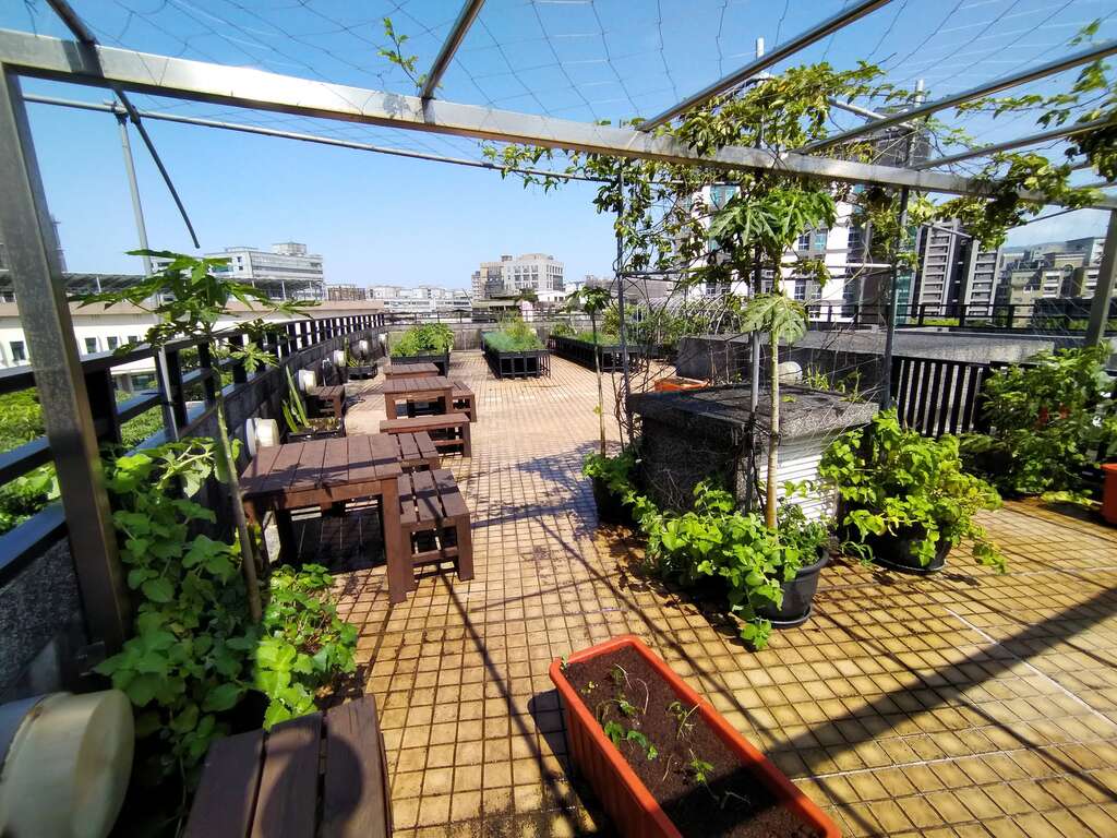 北原会馆绿屋顶一景