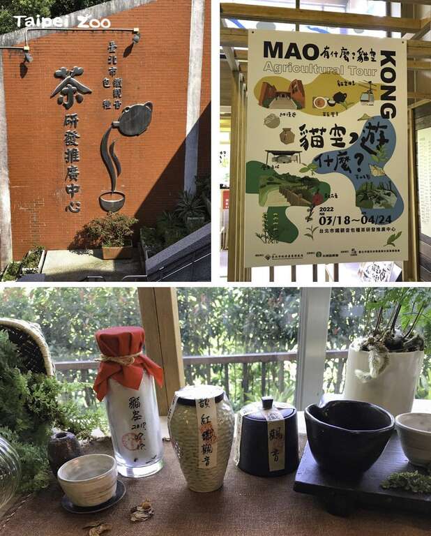 過去「貓空」曾是北部最大的茶葉產地之一（戴為愚攝）