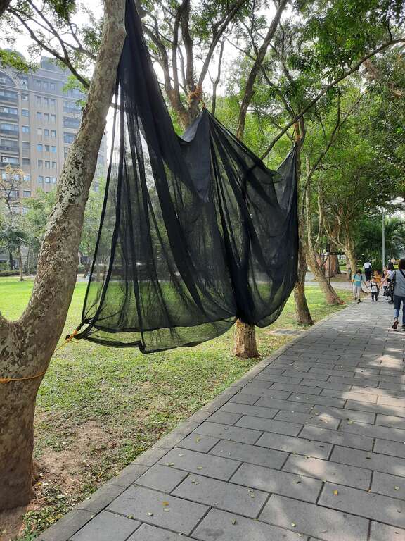 赏萤季来临前，公园处铺设黑网以减少光害对萤火虫的干扰。