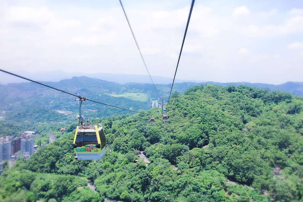 搭乘猫缆，饱览高空群山风景