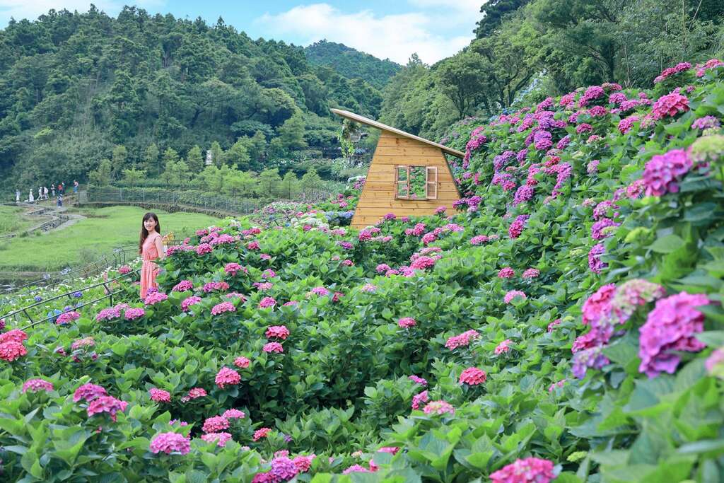 名陽匍的學士帽木屋(圖片來源北投區農會)