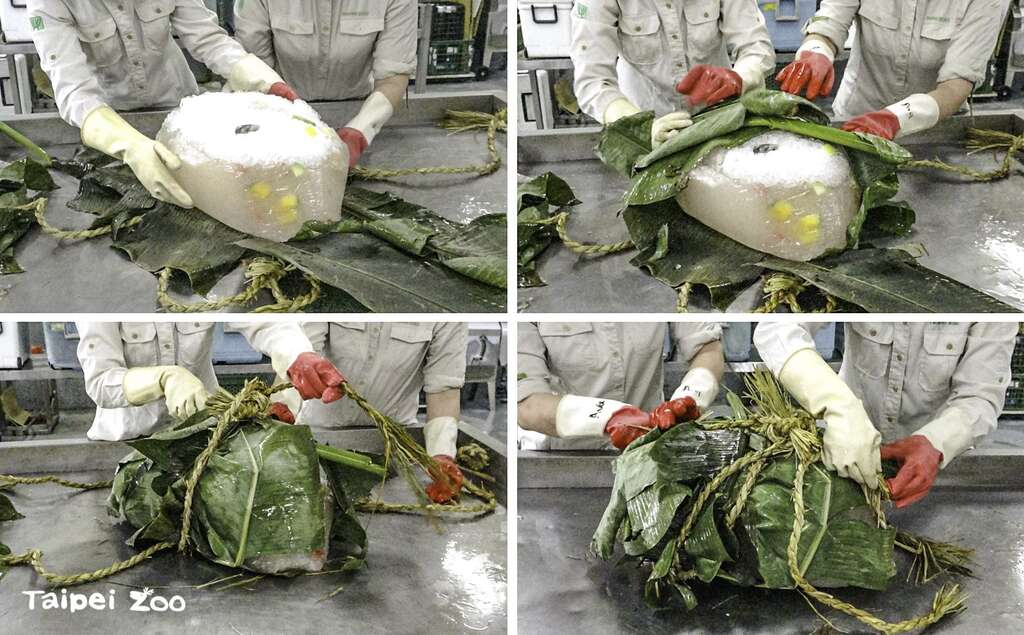 非洲象特大號冰粽的製作過程