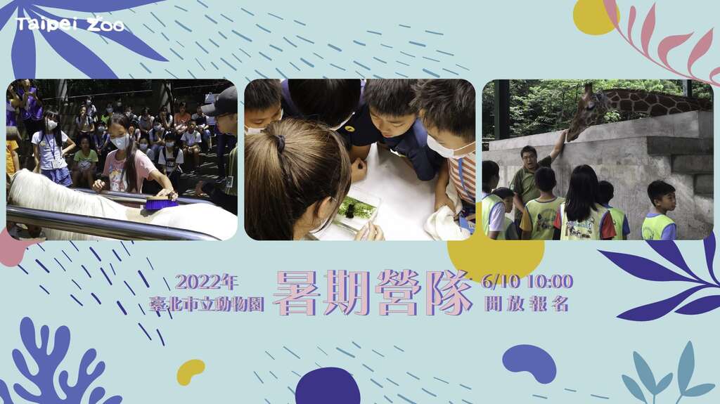 臺北市立動物園今年暑假營隊於6月10日上午10點開放網路報名