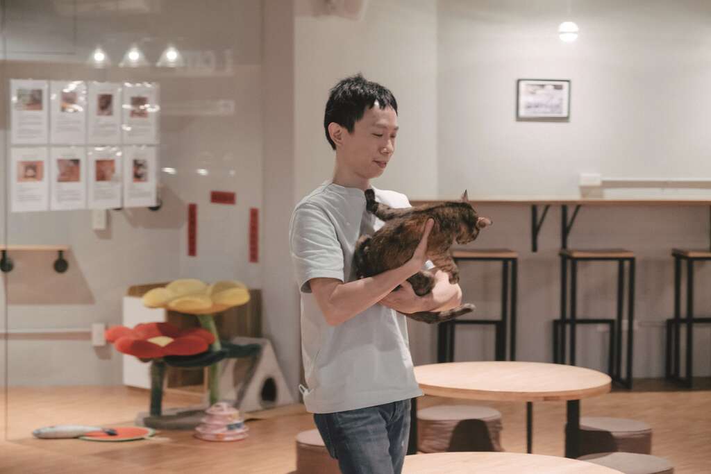 在饲养前了解猫咪习性，能让养猫之路更顺利，开启与猫共好的幸福生活。（摄影／蔡耀徵）