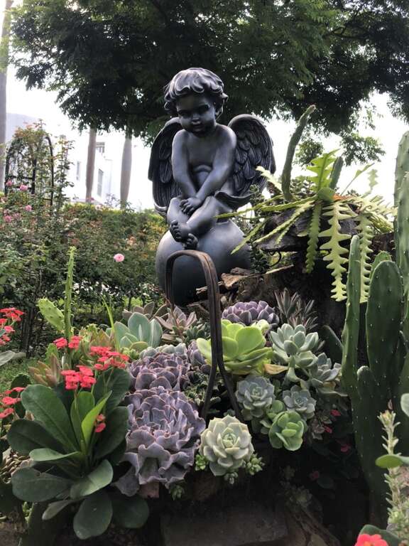多肉植物融入園區內造景，營造出童話般的意境。(圖片來源：臺北市政府工務局公園路燈工程管理處)