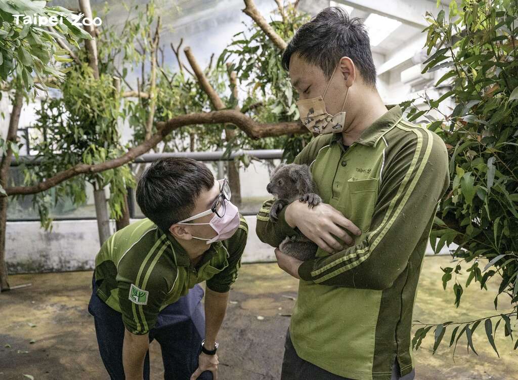 保育员：「Bess」要和大家好好相处哦！(图片来源：台北市立动物园)