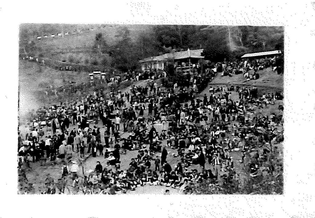 民國51年草山公園內的人潮(由姜子龍提供)(圖片來源：臺北市立圖書館)