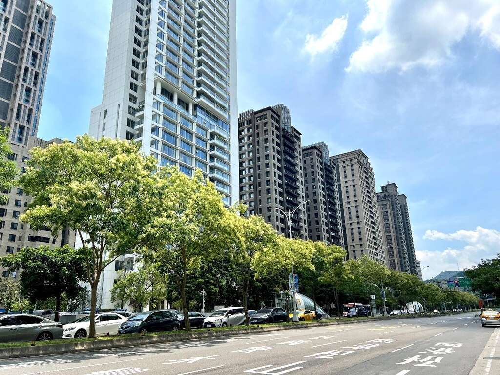信义路上如披上白雪的光蜡树(图片来源：台北市政府工务局公园路灯工程管理处)