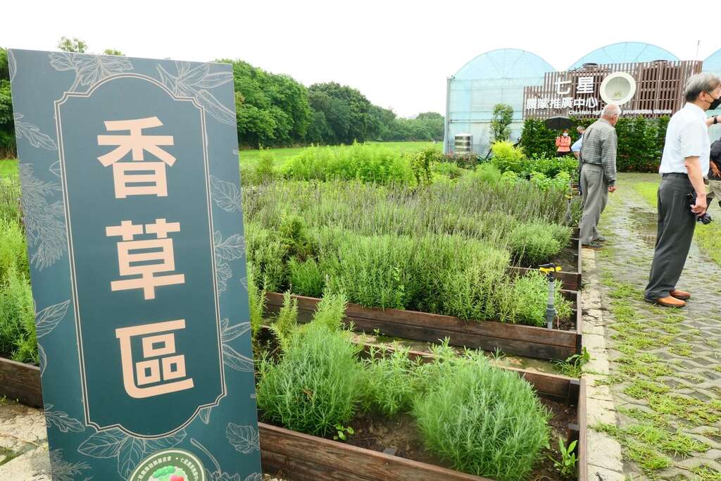 种植不同种类香草植物的香草区(图片来源：台北市政府产业发展局)