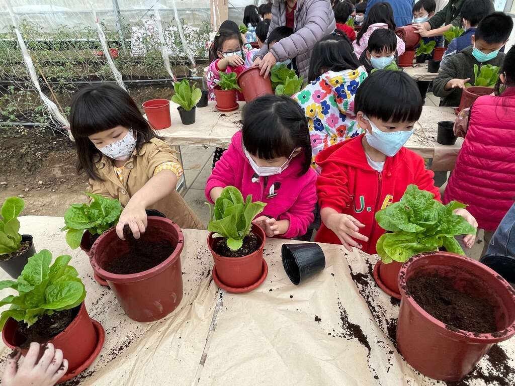 蔬菜盆栽种体验(图片来源：台北市政府产业发展局)