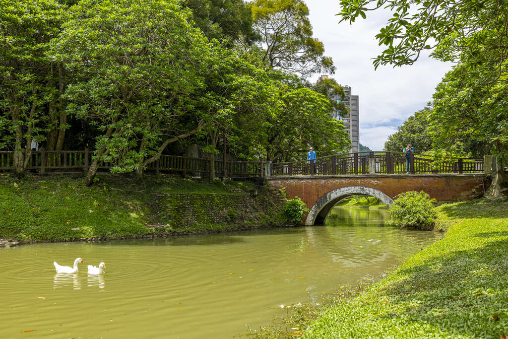 公园内不只树木繁多，更有不少鸟类会来此戏水玩乐(图片来源：台北市政府观光传播局)