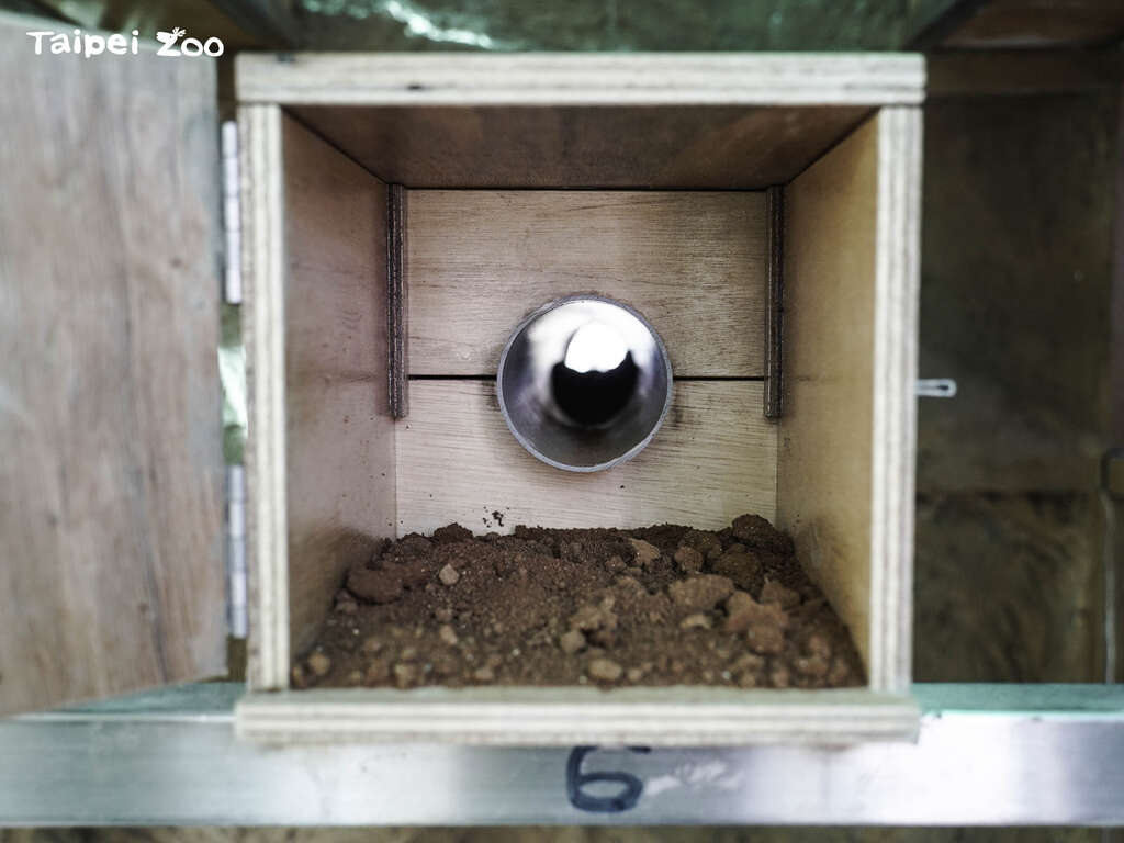 保育员特地在产蛋区设置了一个小门，方便观察个体繁殖的状况(图片来源：台北市立动物园)