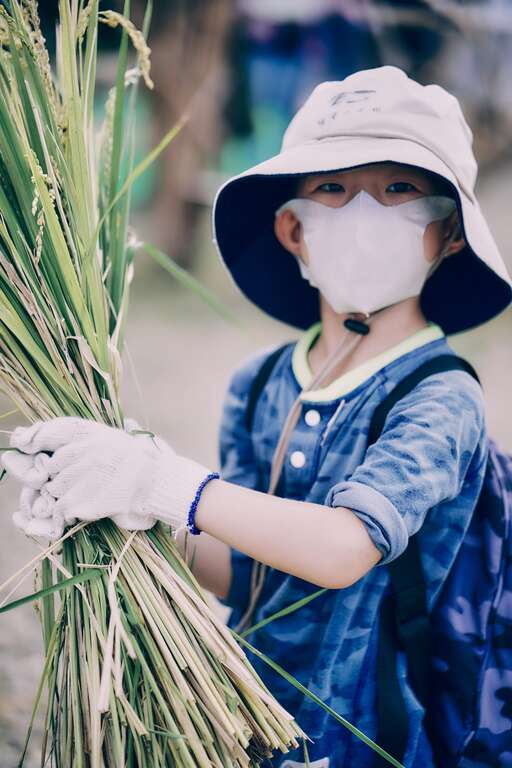 割稻打穀自己來，體驗「粒粒皆辛苦」(圖片來源：臺北市政府工務局大地工程處)