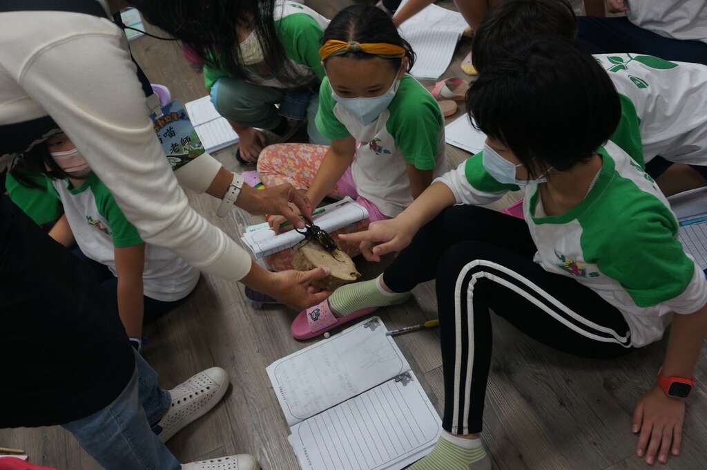 外来种与外来入侵种-110年度校园讲座.JPG图片来源：台北市动物保护处)