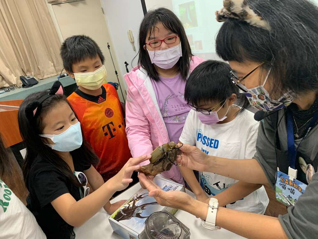 都市常见昆虫及外来种动物-110年度校园讲座图片来源：台北市动物保护处)