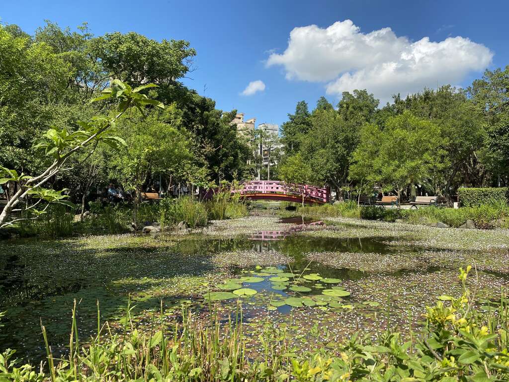 兴隆公园丰富的水生植物.JPG(图片来源：台北市政府工务局公园路灯工程管理处)
