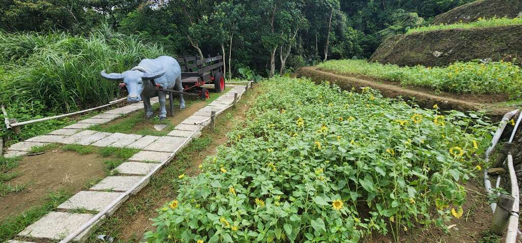 花海旁的水牛意象(圖片來源：臺北大眾捷運股份有限公司)