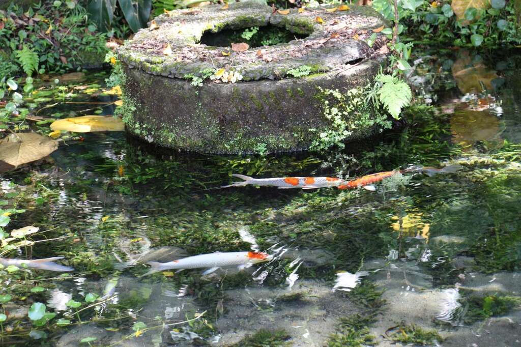 天和公園で歴史ある古井戸を見学