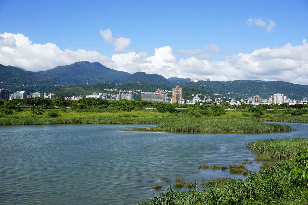 來一趟社子島濕地，可輕易地享受生態觀察的樂趣(圖片來源：臺北市政府工務局水利工程處)