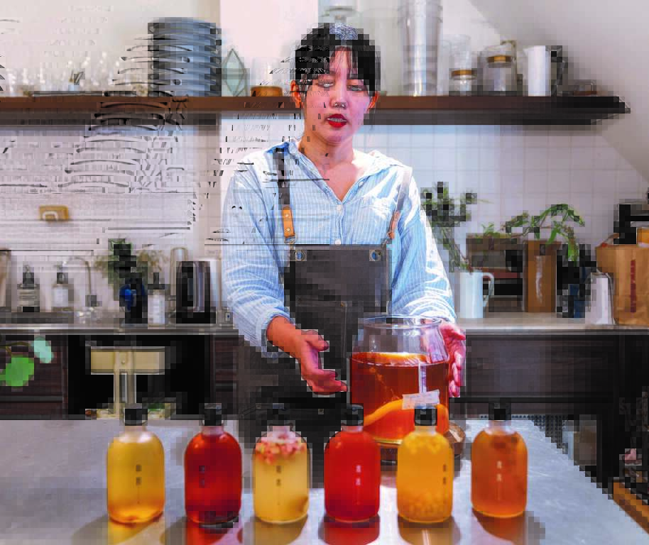 康普茶-20