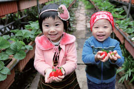Bishan Temple and a strawberry-picking trip to Baishihu