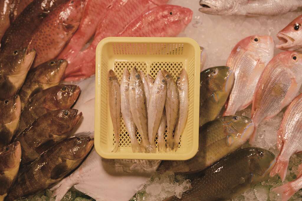 滨江市场可以采买到许多新鲜多样的鱼货，可说是台北采买水产的宝库。(摄影－彭柏璋)