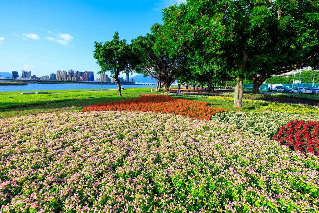 北市延平河濱花海 花期自即日持續至聖誕節(圖片來源：臺北市政府工務局水利工程處)