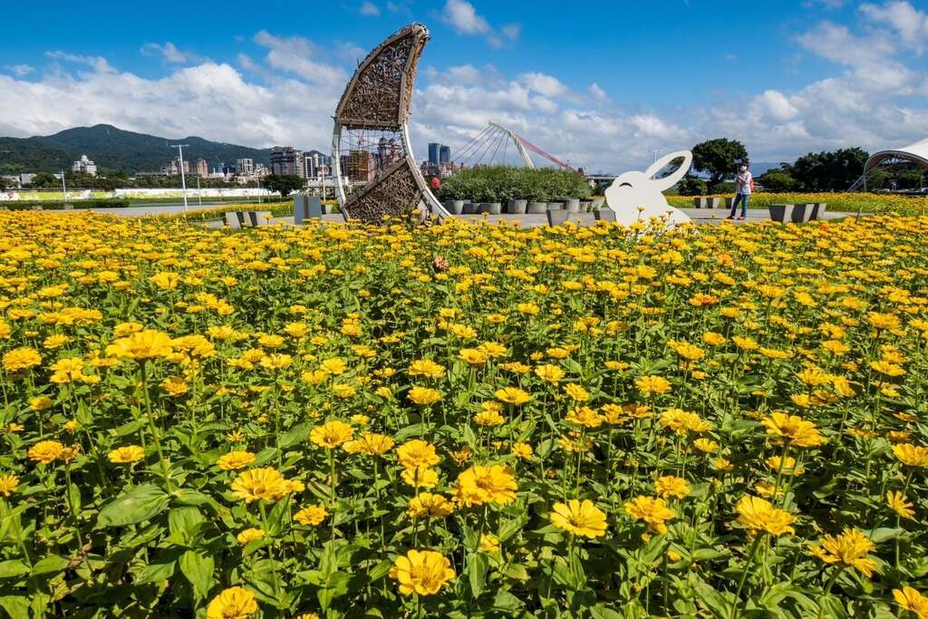 夢織月兔徜徉 黃色花海中(圖片來源：臺北市政府工務局水利工程處)