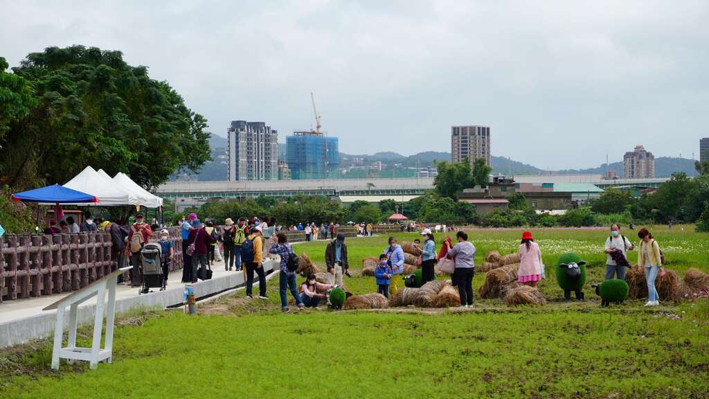 草皮羊與稻草捲是熱門拍照點(圖片來源：臺北市政府工務局)
