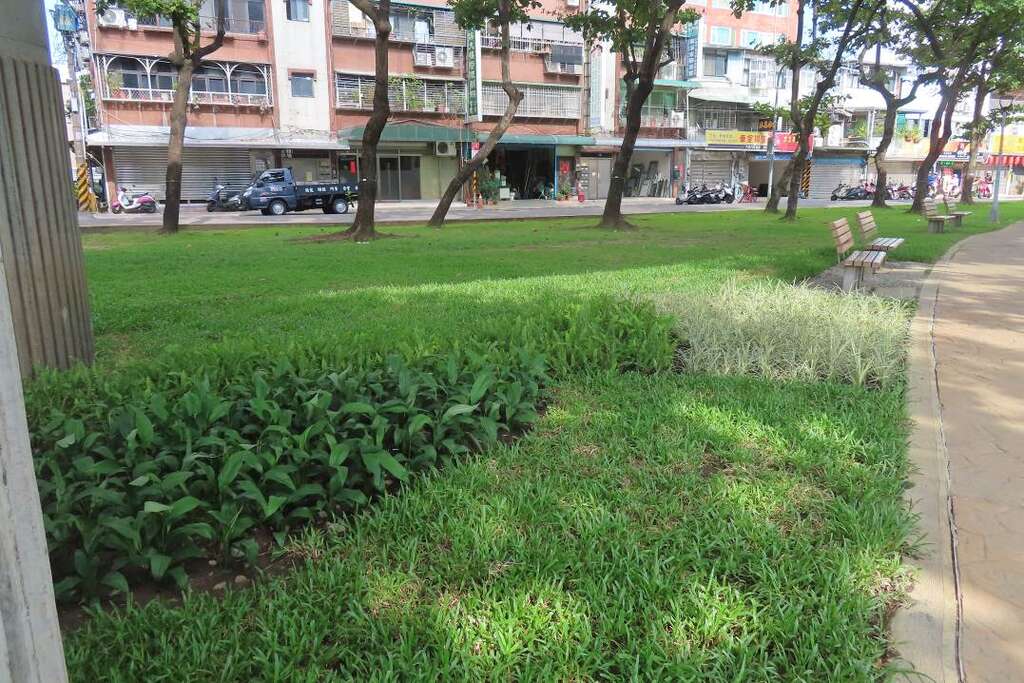 白鹤芋、银纹沿阶草等耐荫植物与草皮呈现出不同绿的感受。(图片来源：台北市政府工务局公园路灯工程管理处)