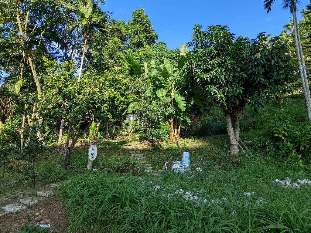果树区种植多样植物(图片来源：台北市政府工务局公园路灯工程管理处)