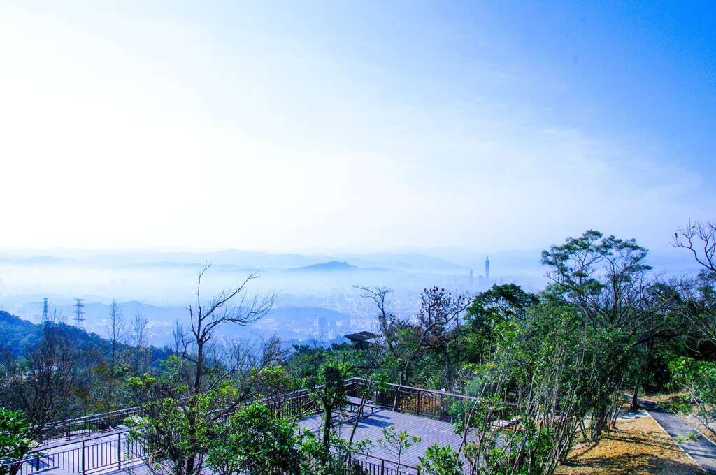 碧山露营场-南区营位(图片来源：台北市政府工务局大地工程处)