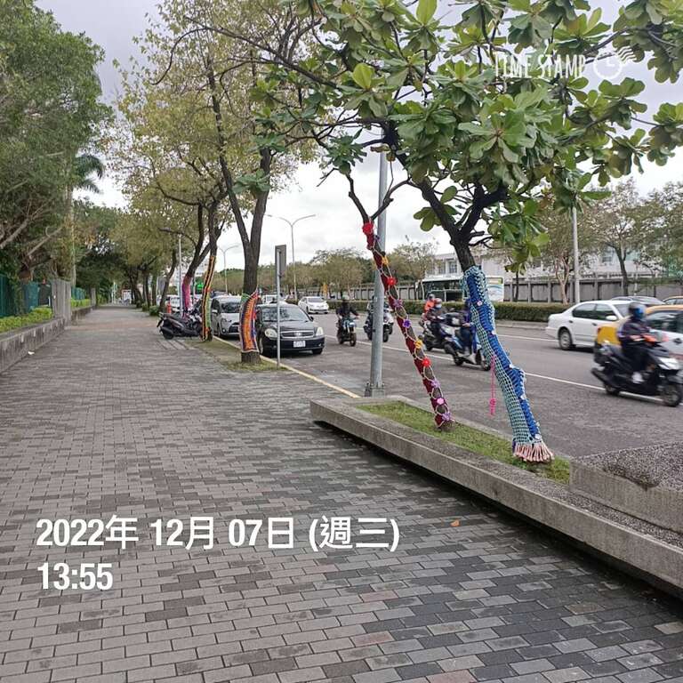 樹衣於民權國小前行道樹展示(圖片來源：臺北市政府工務局公園路燈工程管理處)
