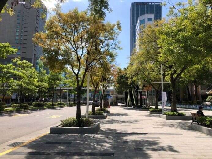 筆直黃連木搭配宮粉仙丹綠美化(圖片來源：臺北市政府工務局公園路燈工程管理處)