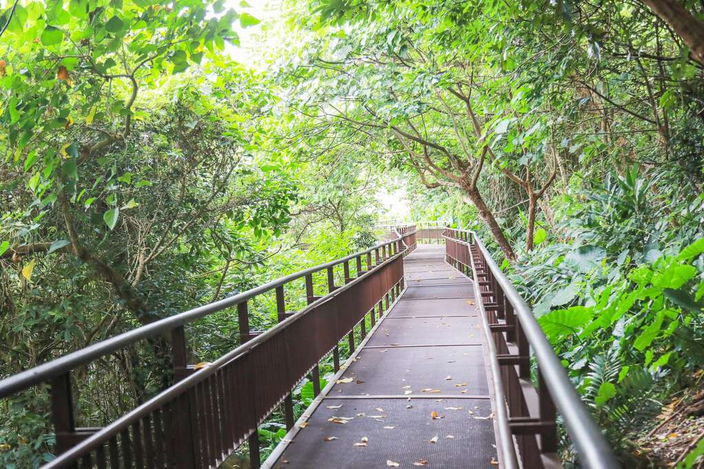 步道採用金屬擴張網，提高棧道防滑性，考量雙向及並行的步行需求，棧道寬度以1.5m為主，達到以人為本之友善步道(圖片來源：臺北市政府工務局公園路燈工程管理處)