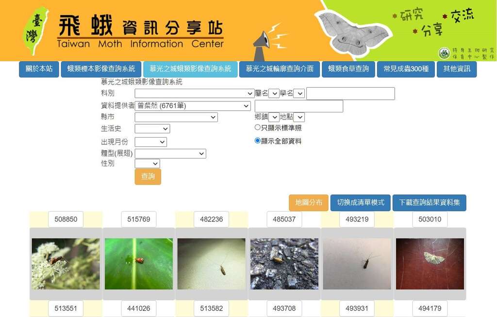 曾粲然同學提供的資料筆數在台灣飛蛾資訊分享站中名列前茅，每個提供者都能用同樣的方法查詢到自己曾經提供的資料照片和連結。(圖片來源：臺北市青少年發展暨家庭教育中心)