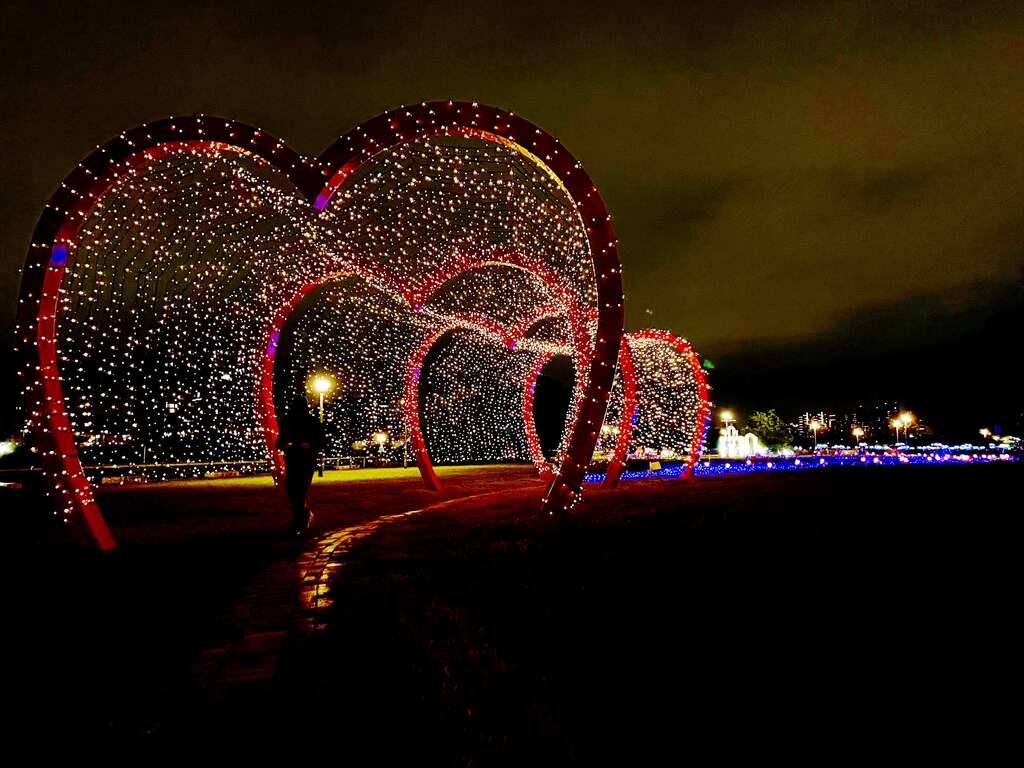 古亭花海今年還加碼夜間燈光，日夜都好拍(圖片來源：臺北市政府工務局水利工程處)