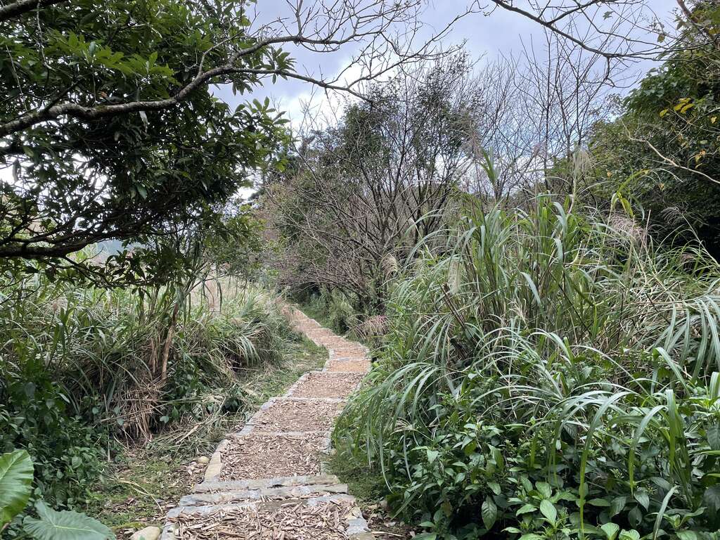 水尾巴拉卡步道换上透水材质，木屑造型为铺面的新衣裳(图片来源：台北市政府工务局大地工程处)