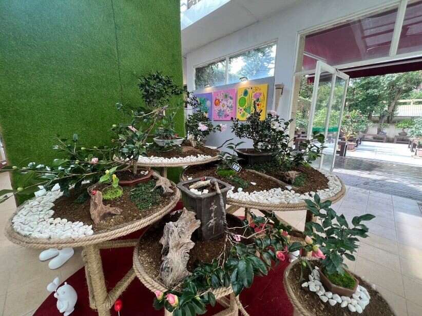2023台北茶花展 茶花盆景展-花與詩的相遇(圖片來源：臺北市政府工務局公園路燈工程管理處)