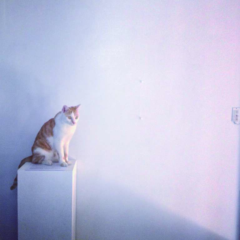 水谷艺术——猫与台座_压缩1