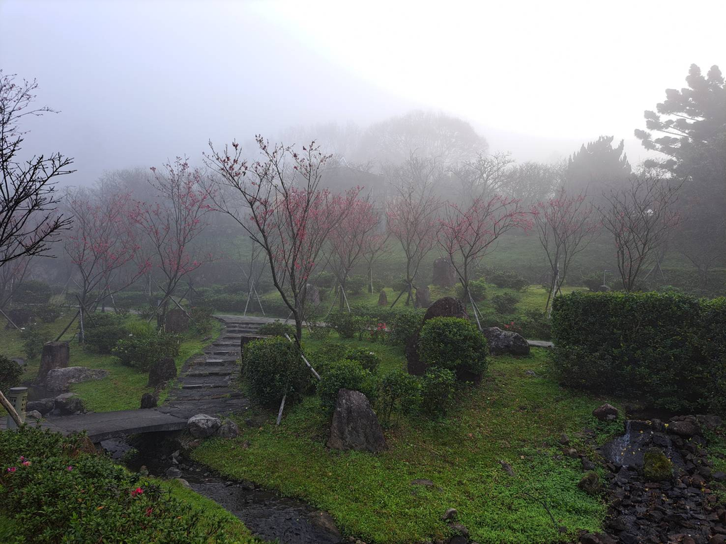 2023 陽明公園，薄霧下顯得仙氣飄飄(圖片來源：臺北市政府工務局公園路燈工程管理處)