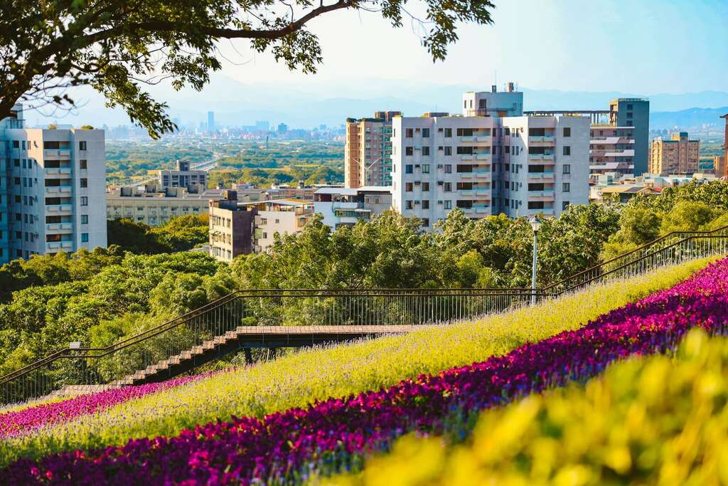 彩虹花毯打造具線條感的花海美景(圖片來源：臺北市政府觀光傳播局)