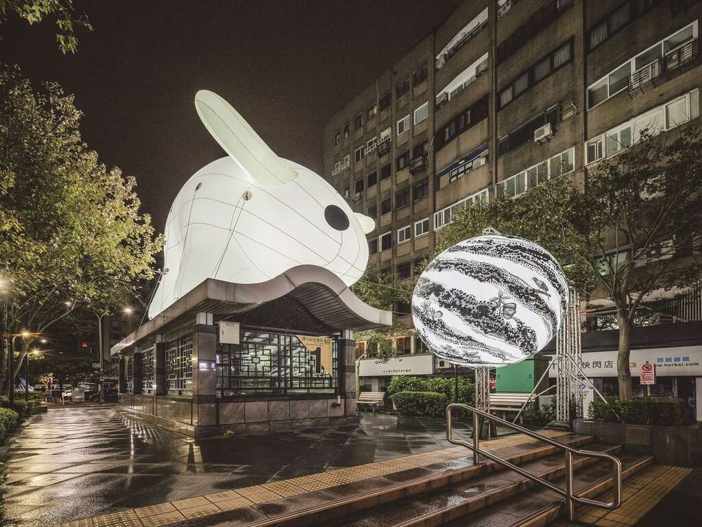 光兔現蹤。（攝影／林冠良）