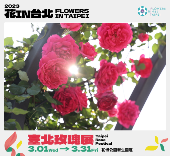 2023台北玫瑰展「玫好幸福」， 3月1日浪漫登场。(图片来源：台北市政府工务局公园路灯工程管理处)