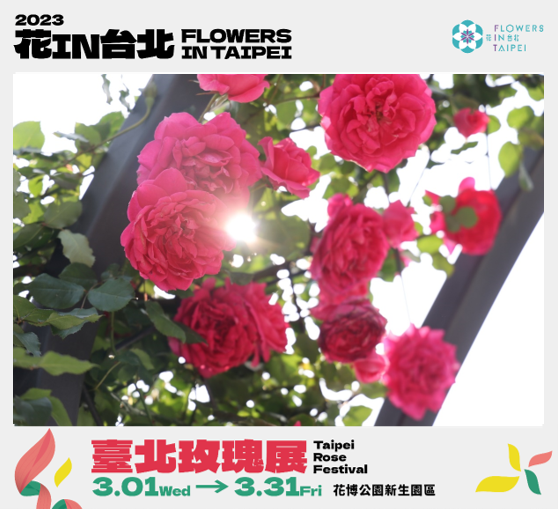2023臺北玫瑰展「玫好幸福」， 3月1日浪漫登場。(圖片來源：臺北市政府工務局公園路燈工程管理處)