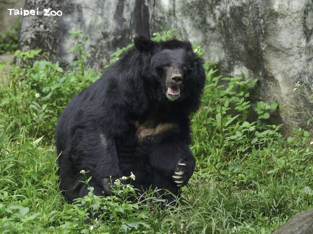Taipei Zoo Celebrates 2023 World Wildlife Day