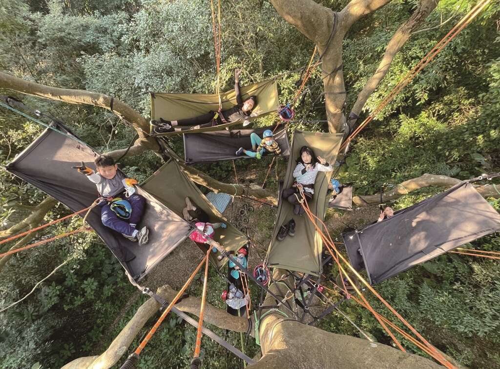台北市不乏许多攀树活动，可让居住在城市里的孩子亲近自然。（图／许荏涵）