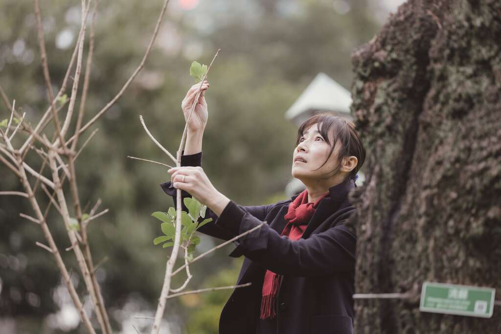 詹凤春以专业角度审视树木，理解树木的需求，并透过演讲、着作等方式，将护树知识分享给相关单位与民众。（摄影／林冠良）